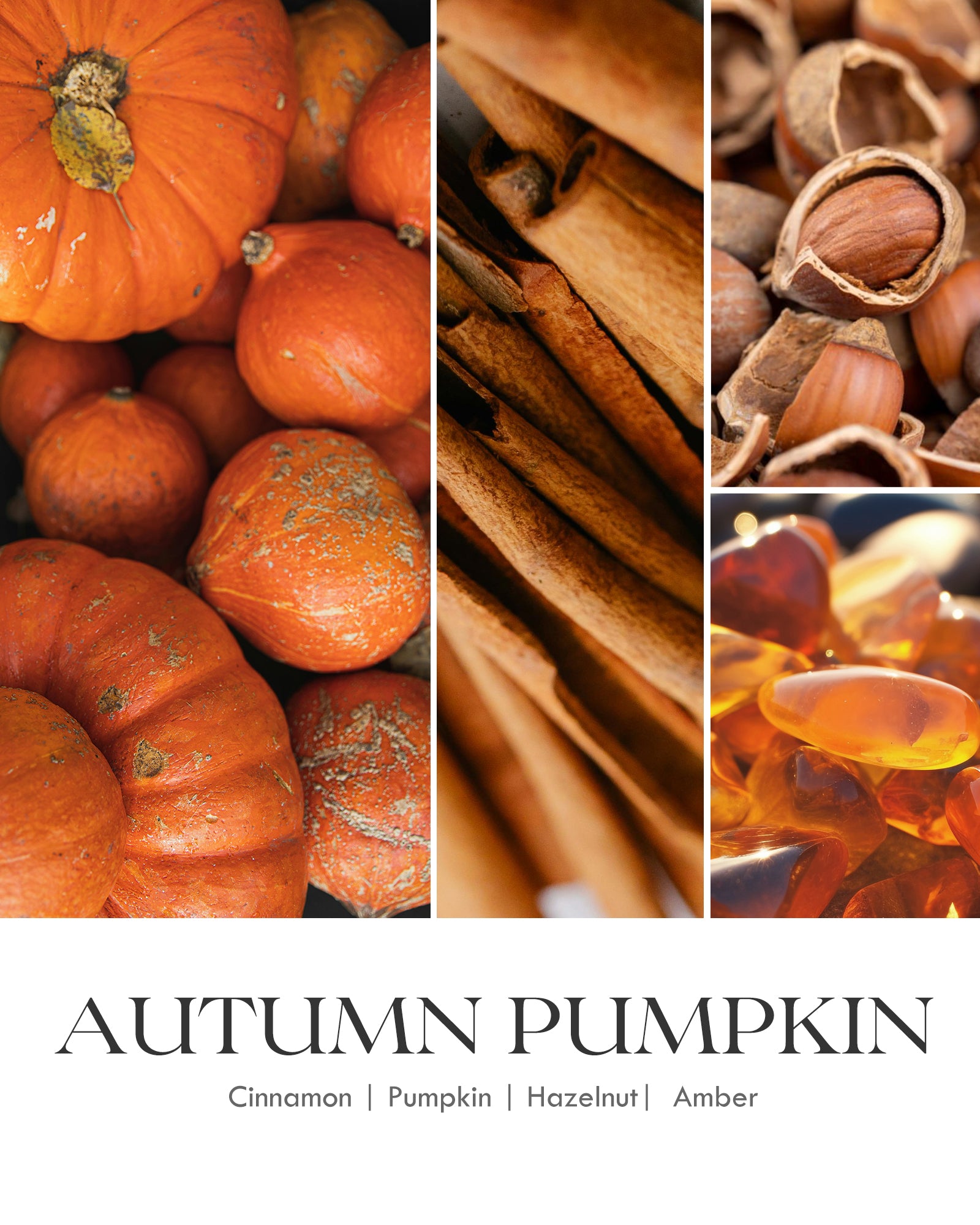 AOOVOO Classic Scented Candle –  Spiced Pumpkin