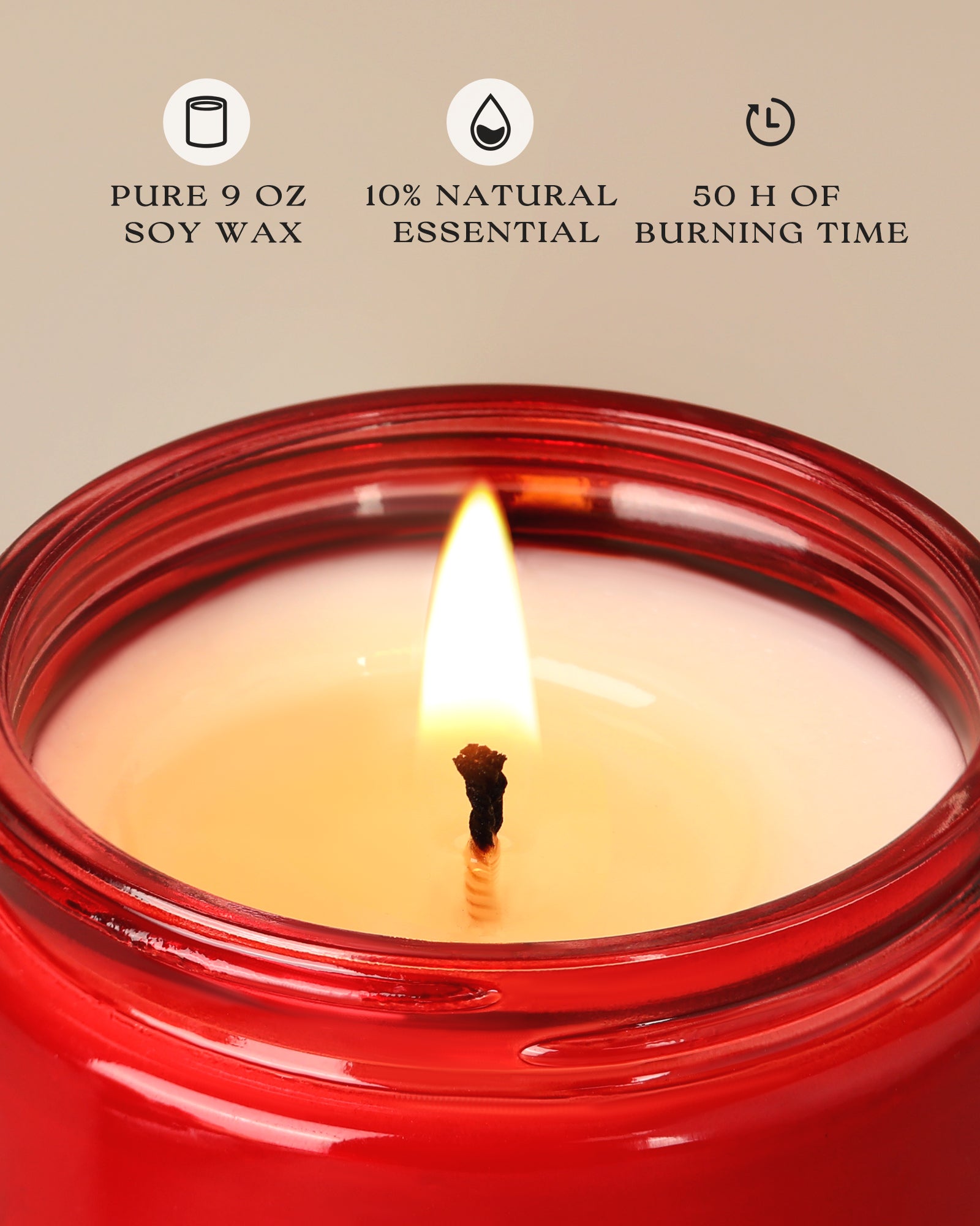 AOOVOO Classic Scented Candle –  Cinnamon & Apple