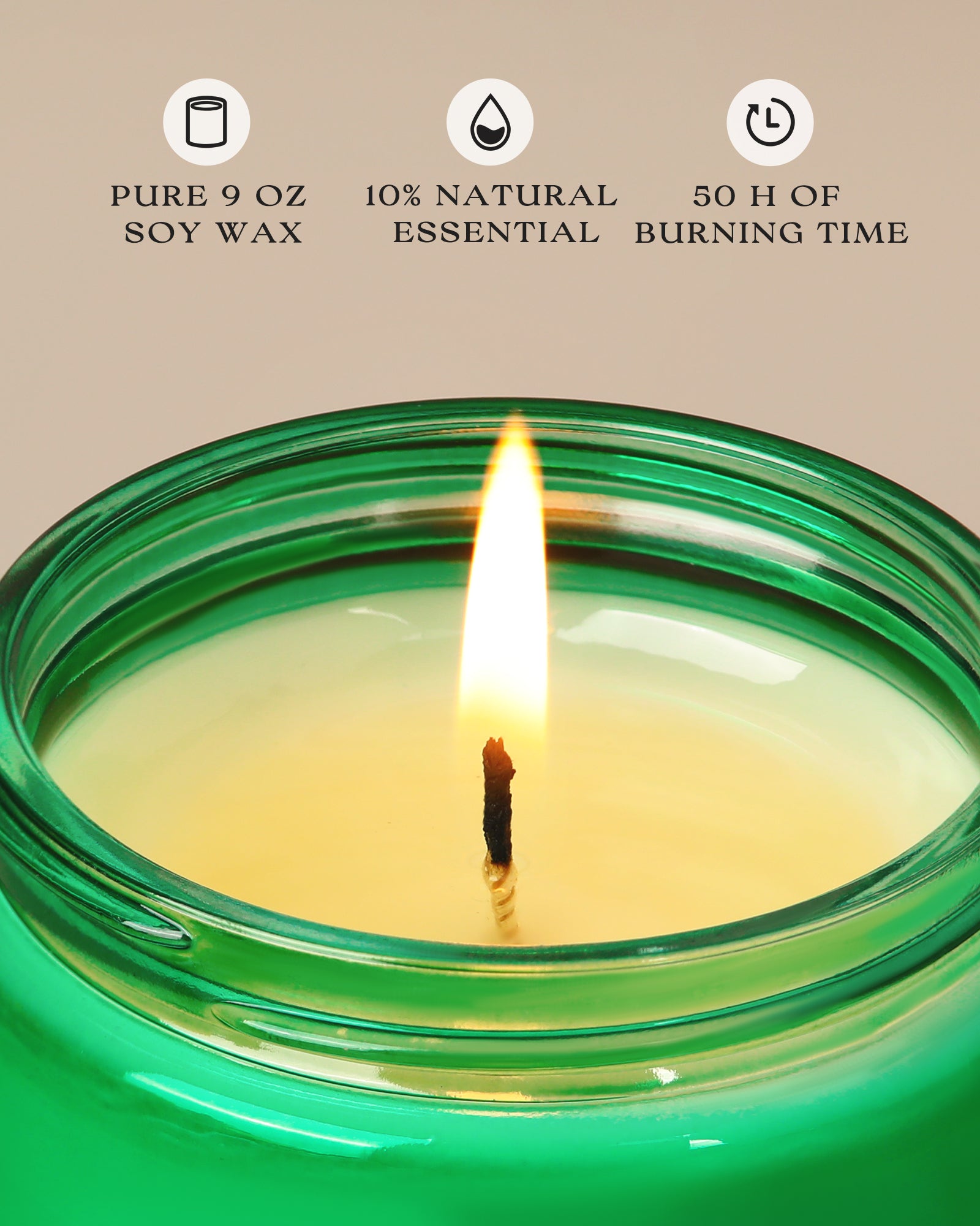 AOOVOO Classic Scented Candle –  Balsam & Cedar