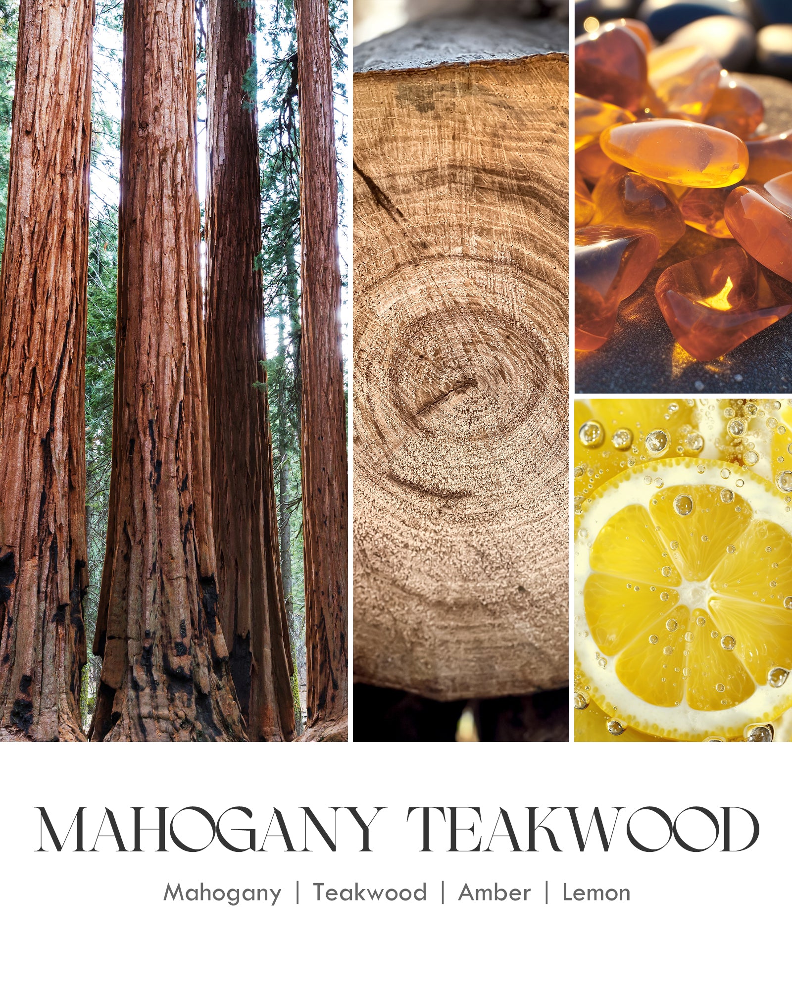 AOOVOO Scented Candles for Men - Mahogany & Teakwood