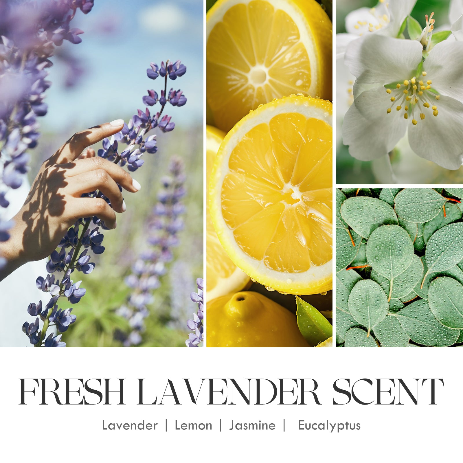 lavender lemon jasmine