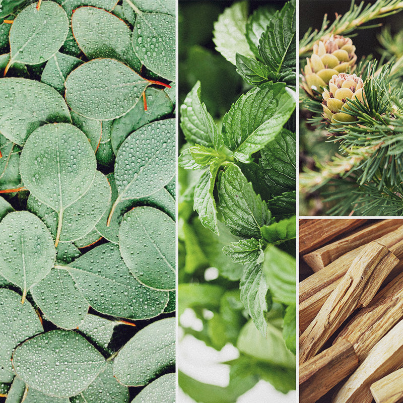 Handmade soy wax candles,Crystal-infused candles,Scented candles,Yankee Candle