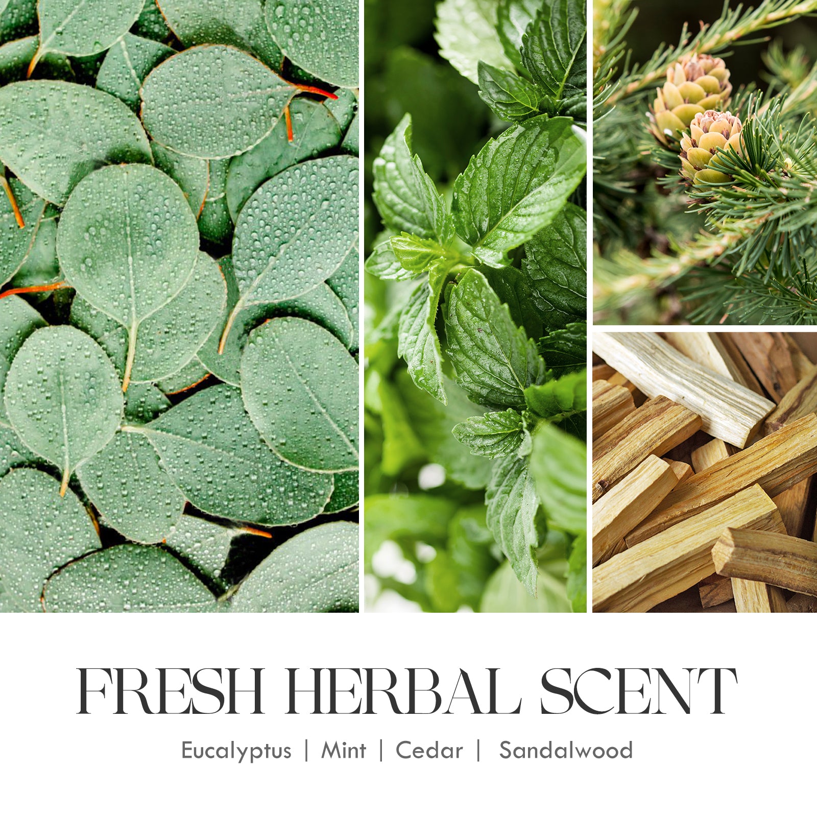 eucalyptus scented candles