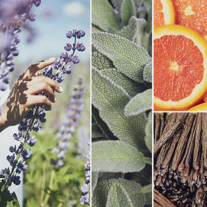 AOOVOO Scented Candle – Sage with Crystals Inside